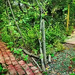 El Jardin, Eco Cabanas Boutique